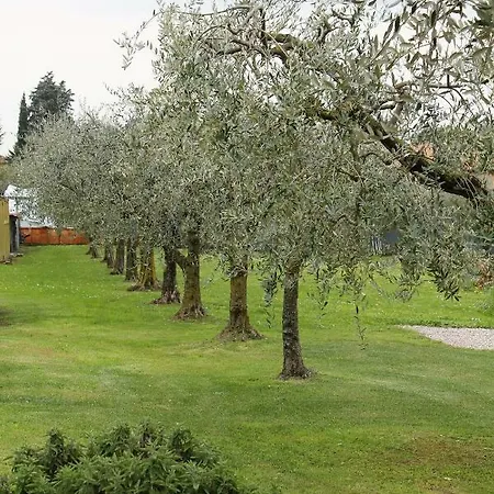 Casa Terry Appartement